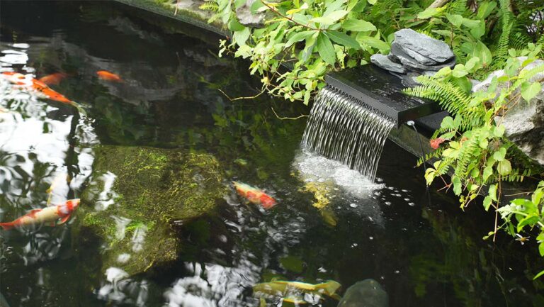 Turn Your Garden into a Flowing Paradise with a Pond and Waterfall Kit and Solar Fountain Pump