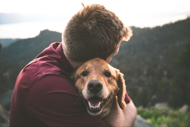Adopting a Dog vs Buying a Dog: The Honest Guide to Making the Right Choice