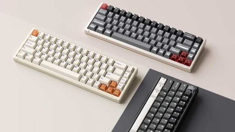 Why Mechanical Keyboards Remain Popular Among Professionals
