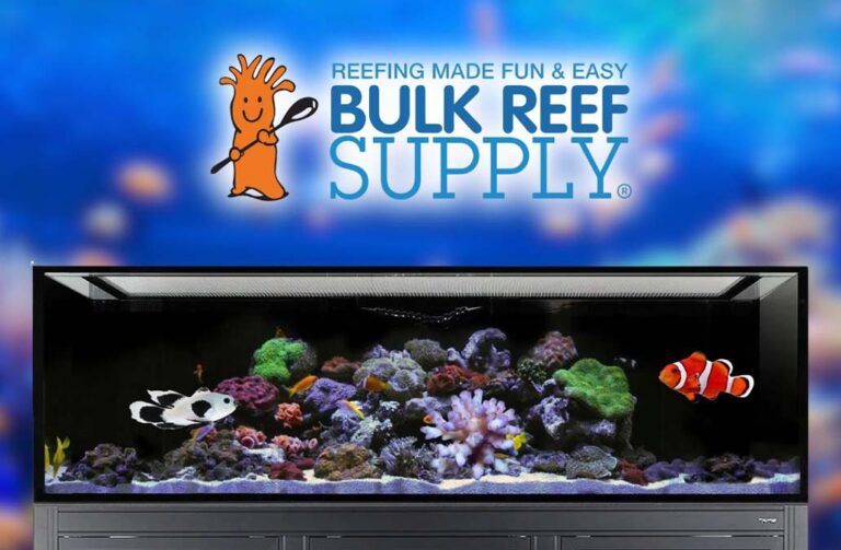 How Bulk Reef Supply Helped Turn a Living Room Aquarium Into a Thriving Reef Ecosystem How Bulk Reef Supply Helped Turn a Living Room Aquarium Into a Thriving Reef Ecosystem