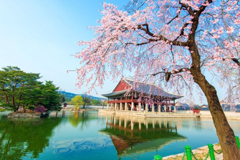 From City Lights to Coastal Views: Exploring South Korea