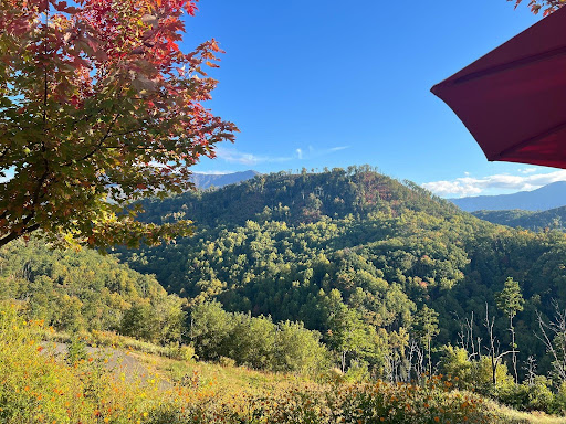 The Connection Between Solo Travel And Self-Discovery