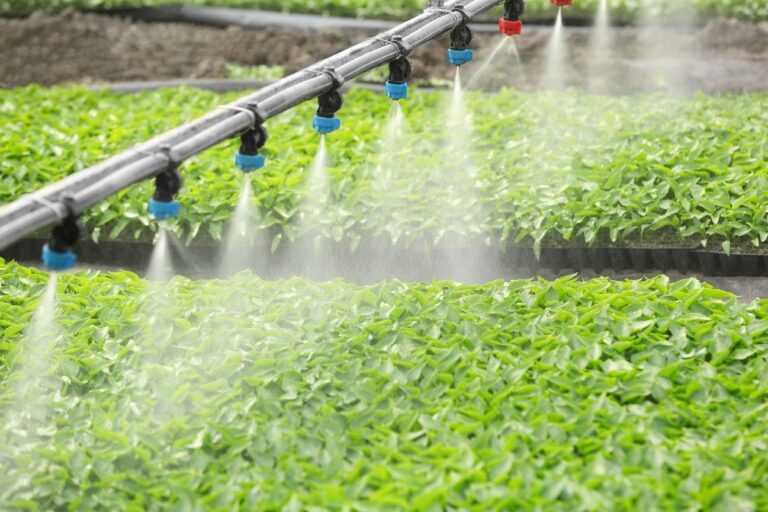 Irrigation Company