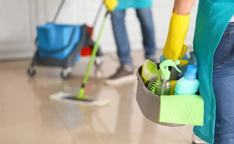 Professional Approaches and Modern Standards for Effective Home Hygiene and Maintenance Home Hygiene
