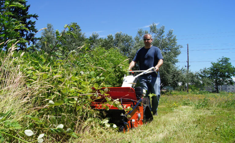 Brush Clearing: A Complete Guide to Creating Safer, Healthier, and More Manageable Outdoor Spaces Brush Clearing