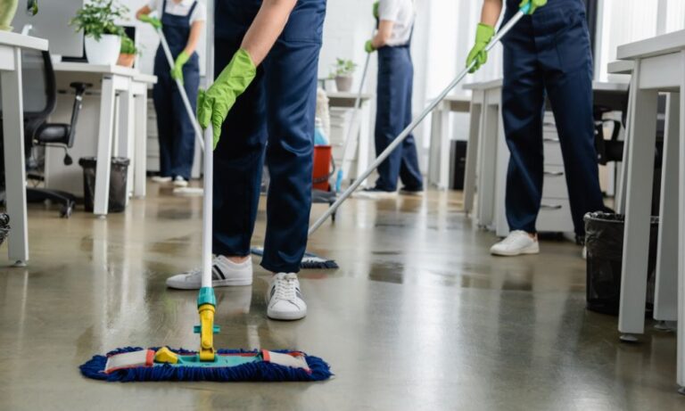Professional Cleaning Team