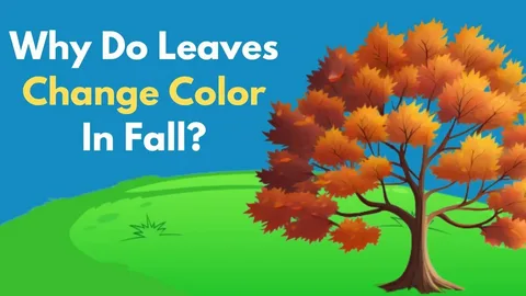 Why Fall Is the Best Time to Refresh Your Kitchen Cabinets Before the Holiday Season