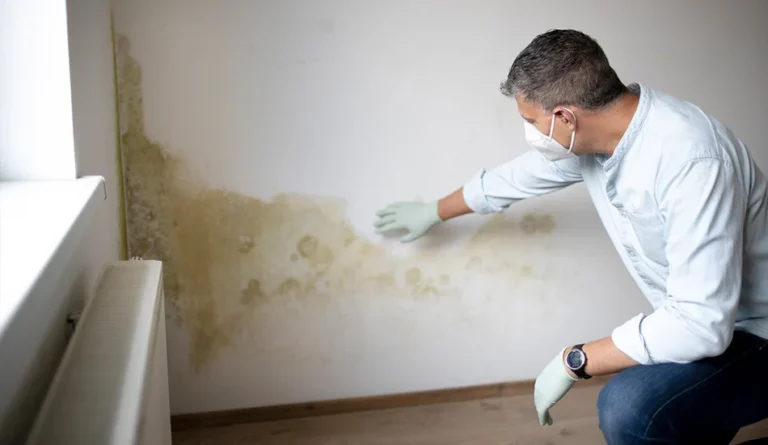 Complete Guide to ERMI Mold Testing and Its Importance in Indoor Air Quality and Health Protection
