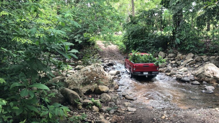 Affordable Ways to Customize Your Vehicle for a Family Adventure