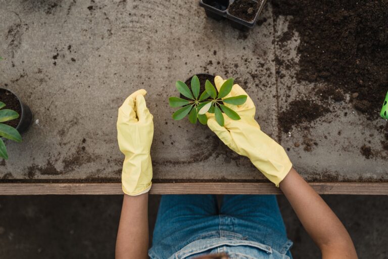 A Complete Guide to Soil Protection, Plant Health, and Sustainable Gardening Practices Soil Protection