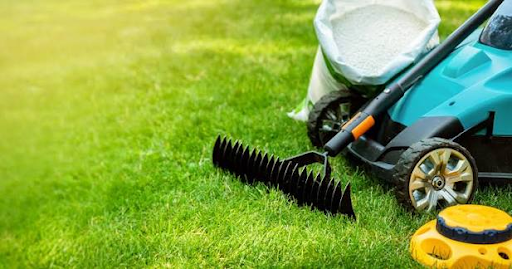 Lawns That Look Good Without Costing the Earth Lawns