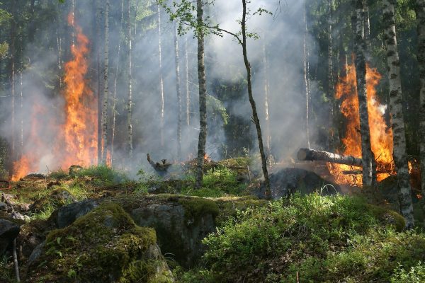 Fire Mitigation Techniques