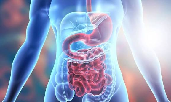 The Gut-Brain Connection and How Digestive Health Affects Mood The Gut-Brain Connection and How Digestive Health Affects Mood