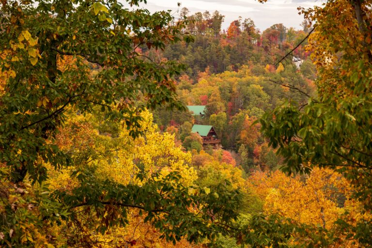 What Goes Into Planning a Great Pigeon Forge Getaway