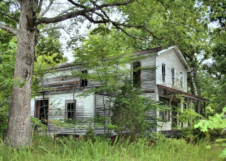 How Professional Cleanup Services Restore a Neglected House